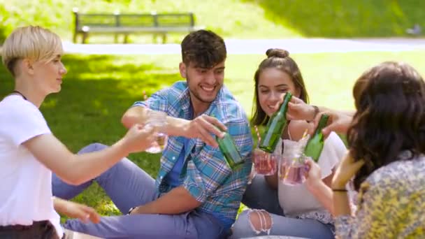 onnellisia ystäviä clinking juomia kesäpuistossa
 - Materiaali, video