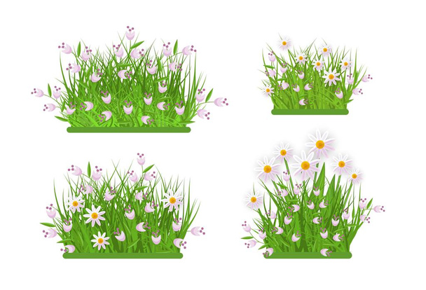 Vector green grass, chamomile daisy flowers bush - Vector, afbeelding