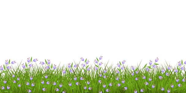 Frontera floral de primavera o verano con flores silvestres azules sobre hierba verde fresca
. - Vector, Imagen