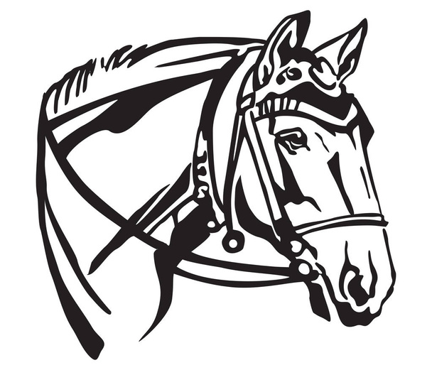 Retrato decorativo en perfil de caballo con hermosa brida, ilustración vectorial aislada en color negro sobre fondo blanco. Imagen para diseño y tatuaje
.  - Vector, Imagen
