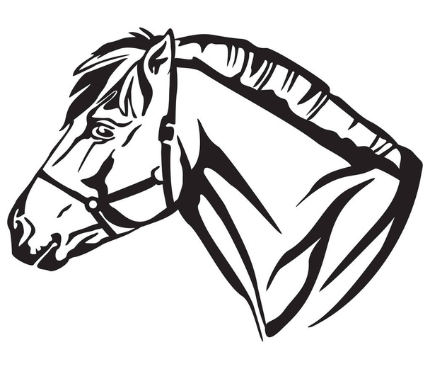 Ritratto decorativo a profilo di pony fiordo norvegese, illustrazione vettoriale isolata in colore nero su sfondo bianco. Immagine per disegno e tatuaggio
.  - Vettoriali, immagini