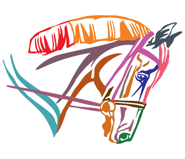 Kolorowe ozdobny portret profil konia z uzda, ilustracji wektorowych w różnych kolorach na białym tle. Obraz dla projektowania i tatuaż.  - Wektor, obraz