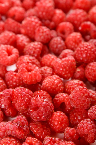 Raspberries isolated on white background - 写真・画像