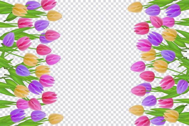 Spring floral border with colorful tulips with green leaves on transparent background. - Вектор, зображення