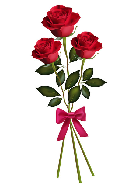 Beauty red rose with bow. - Vector, Image