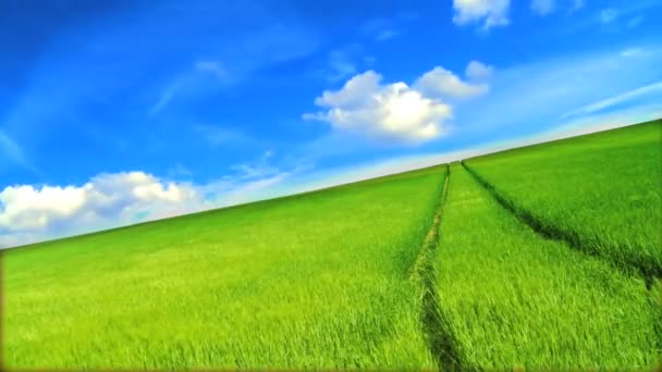 Πεδία πράσινη χλόη & καθαρά περιβαλλοντικής εικόνας κάτω από το γαλάζιο του ουρανού - Πλάνα, βίντεο