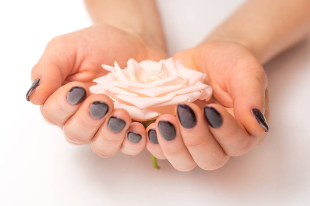 Rosa rosa suave flor en manos femeninas jóvenes aisladas sobre fondo blanco. Primer plano, enfoque selectivo
 - Foto, Imagen