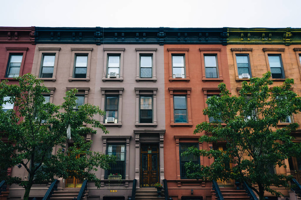 Colorful row houses in Harlem, Manhattan, New York City. - Photo, image