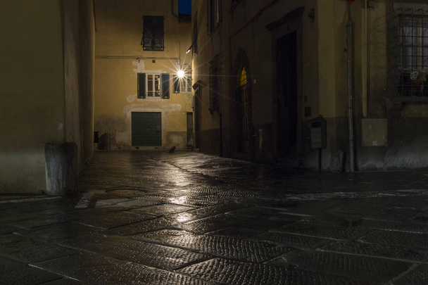 Nocturnal oude stad straten met straatverlichting in de Toscaanse stad Lucca in Italië - Foto, afbeelding