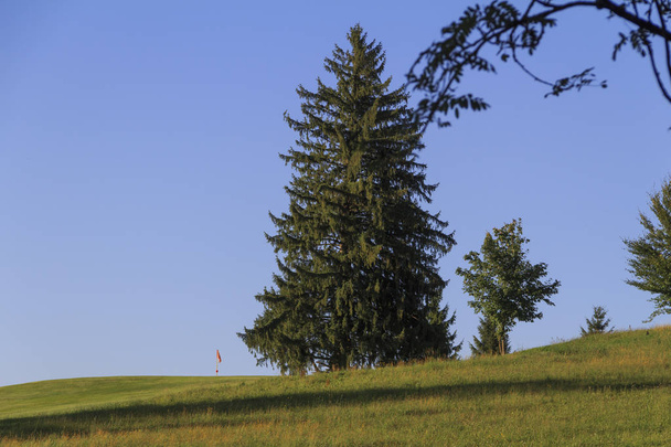 scenic view of golf course at summer  - Photo, Image