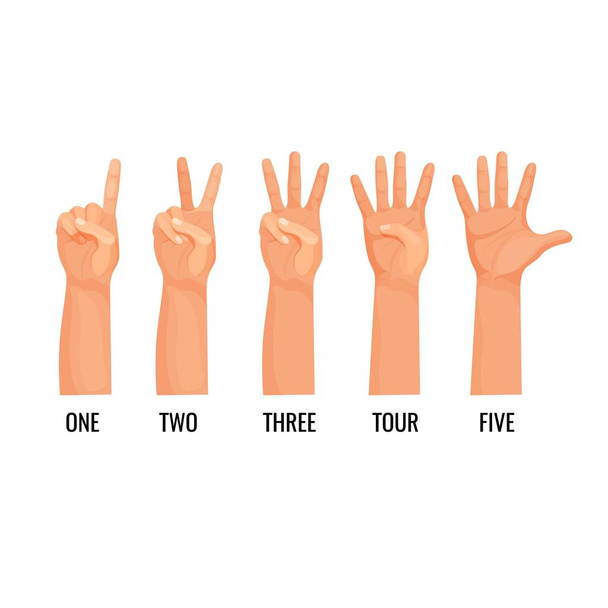 Counting hands show figures, count one, two, three, four, five - Vector, Image