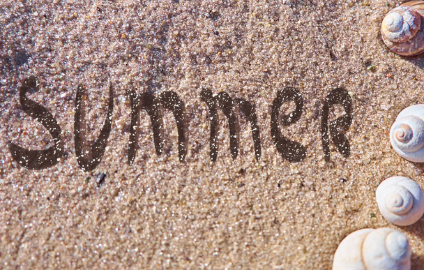 Summer text drawn on a sea sand with seashells - Fotoğraf, Görsel