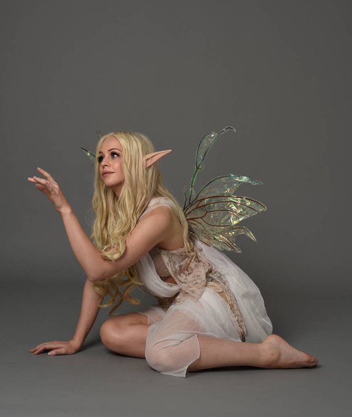 full length portrait of a blonde girl wearing fantasy fairy costume, seated pose on grey studio background. - Zdjęcie, obraz