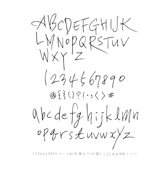 Vector fonts / Handwritten calligraphy  - Vetor, Imagem