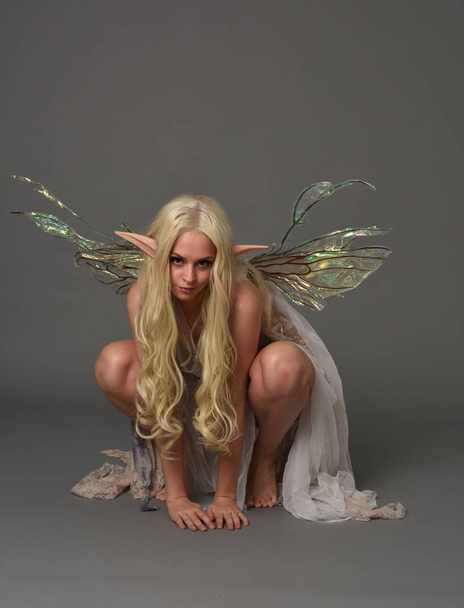 full length portrait of a blonde girl wearing fantasy fairy costume, seated pose on grey studio background. - Foto, Bild