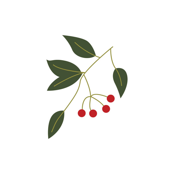 Plant branch with ripe red berries and green leaves isolated on white background. - Διάνυσμα, εικόνα