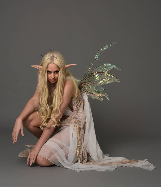 portrait complet d'une fille blonde portant un costume de fée fantaisie, pose assise sur fond de studio gris
. - Photo, image