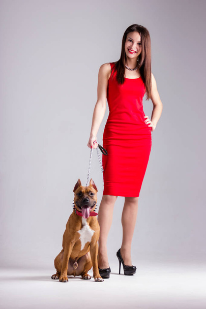 Beautiful woman in red dress with red american staffordshire terrier indoor on blurred neutral white background - Foto, Bild