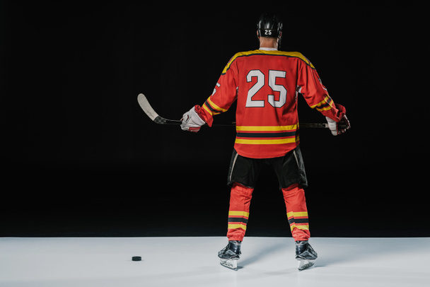 back view of professional ice hockey player holding hockey stick on black  - Fotografie, Obrázek