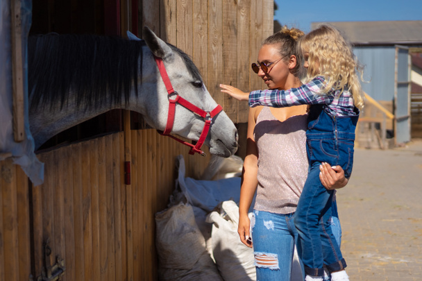 mother and daughter palming horse at farm - Photo, Image