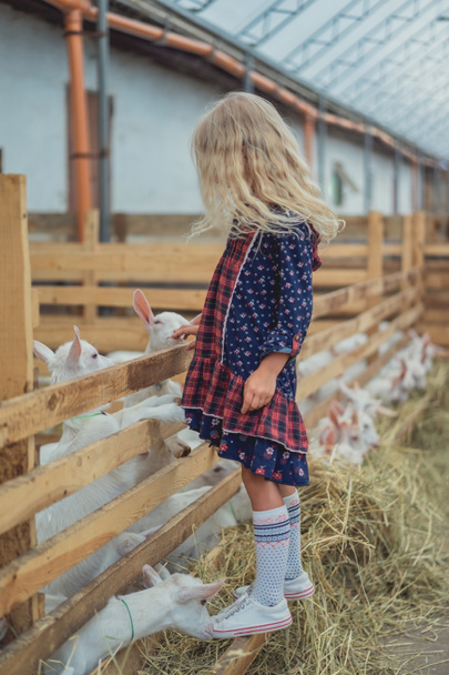 boční pohled na dítě dotýkat kozí farmě - Fotografie, Obrázek