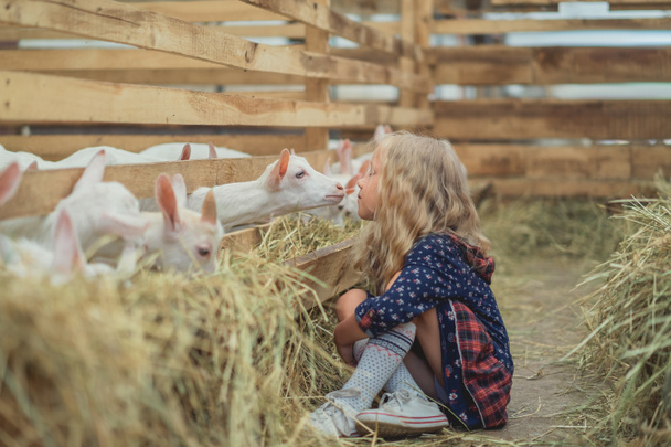 Widok z boku dzieciaka, będziemy się całować Koza w stodole - Zdjęcie, obraz
