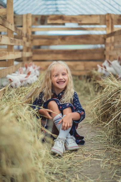 happy child sitting on ground near goats at farm and looking at camera - Photo, Image