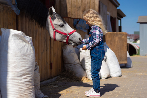 side view of kid feeding horse at farm - Foto, afbeelding
