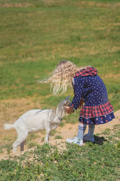 Вид сзади ребенка, играющего с козой через забор на ферме
 - Фото, изображение