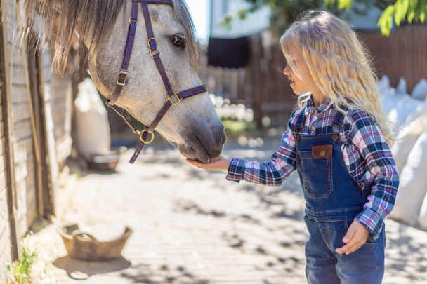 Widok z boku dziecko karmienie konia na ranczo - Zdjęcie, obraz