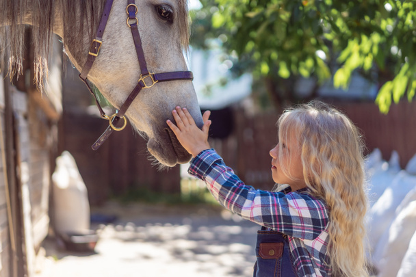 Μερική άποψη του παιδιού αγγίζουν άσπρο άλογο στο αγρόκτημα - Φωτογραφία, εικόνα