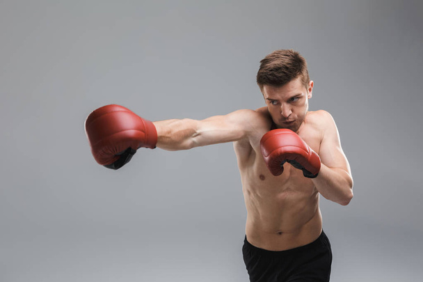 Portrait of a motivated shirtless sportsman wearing boxing gloves isolated over gray background - Zdjęcie, obraz
