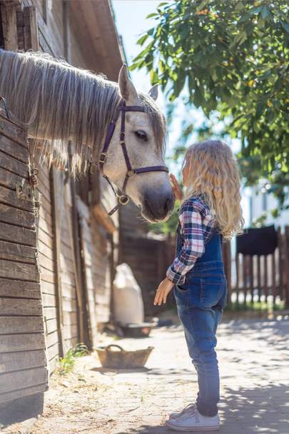 side view of kid touching white horse at ranch - Photo, Image