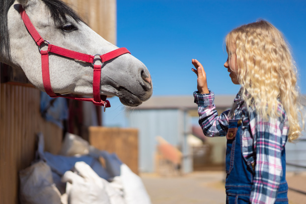 side view of kid going to touch horse at farm - Foto, Imagen
