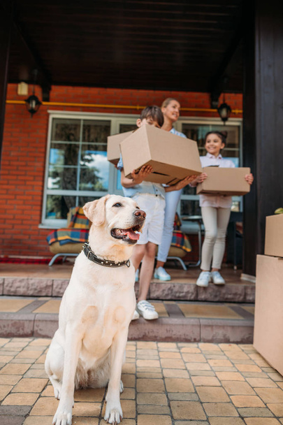 επιλεκτική εστίαση σκυλί λαμπραντόρ και οικογένεια με κουτιά από χαρτόνι στην βεράντα του νέου σπιτιού, μετακίνηση home concept - Φωτογραφία, εικόνα