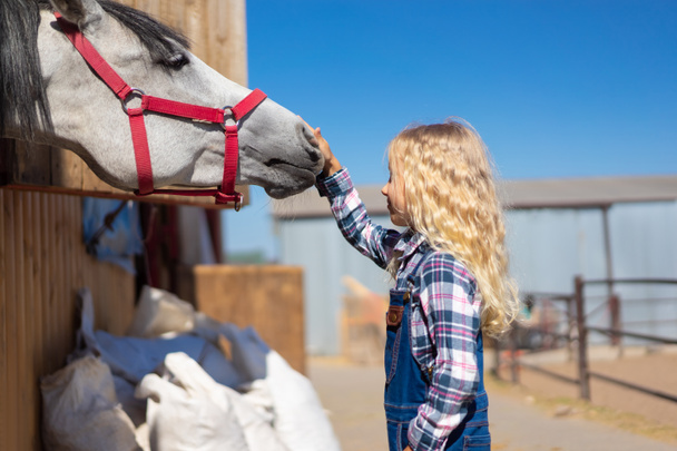 Zijaanzicht van kind aanraken paard ranch - Foto, afbeelding