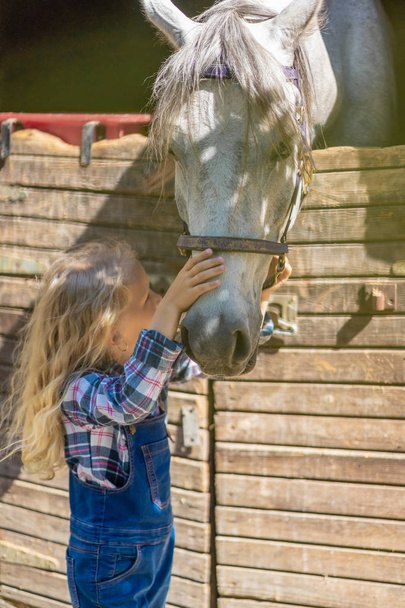 ló-Farm megható preteen gyerek - Fotó, kép