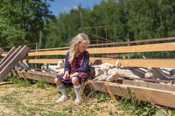 дитина сидить на паркані на фермі і дивиться на козлів
 - Фото, зображення
