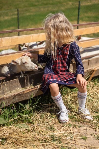 gyermek ül a kerítésen, és palming a kecske Ranch - Fotó, kép