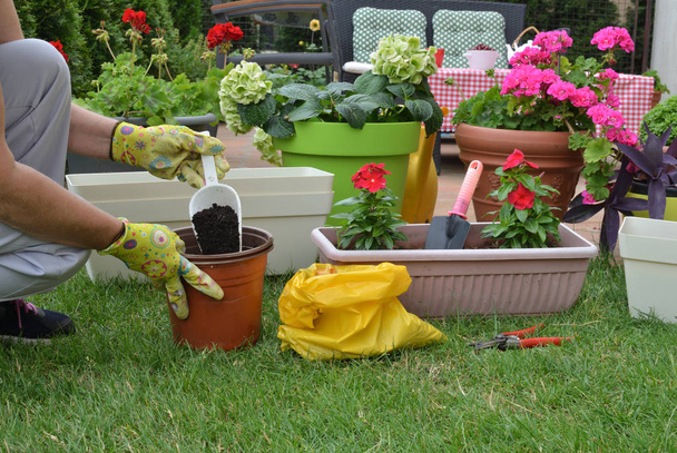 Προετοιμασία για το επαν-potting σε ένα καταπράσινο άνοιξη κήπο γεμάτο λουλούδια και διαφόρων ειδών - Φωτογραφία, εικόνα