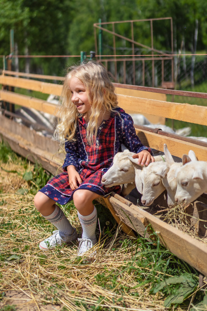 glimlachend kind zittend op het hek en knuffelen geit op boerderij - Foto, afbeelding