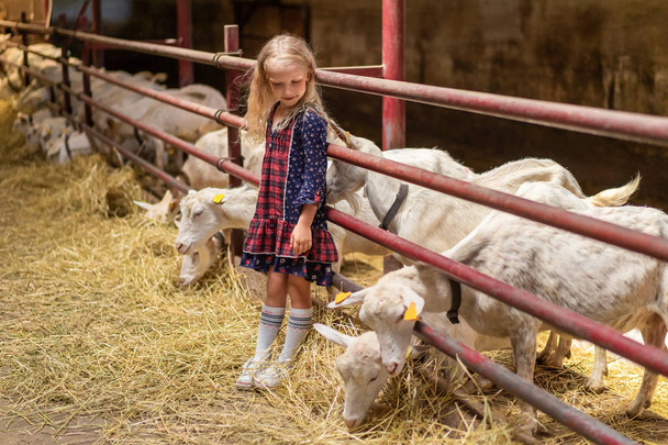 entzückendes Kind lehnt an Zäunen im Stall und schaut Ziegen an - Foto, Bild