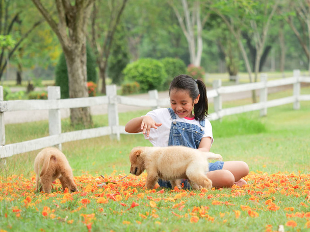 Petite fille asiatique jouant avec un chien golden retriever mignon dans le parc
. - Photo, image