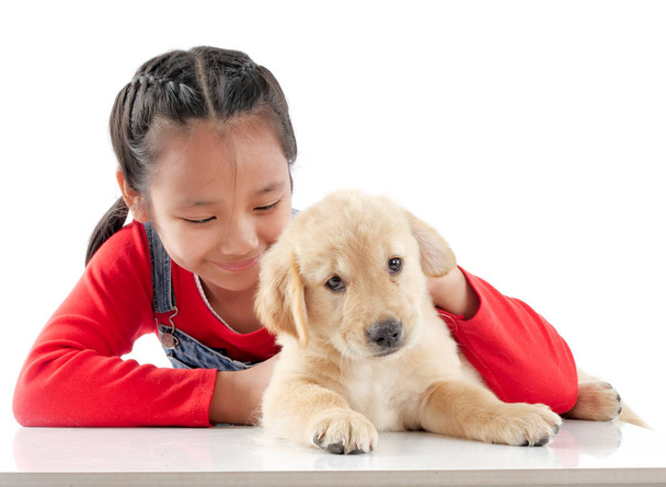 Asian girl playing with her puppy golden retivever over white background. - Foto, Imagen