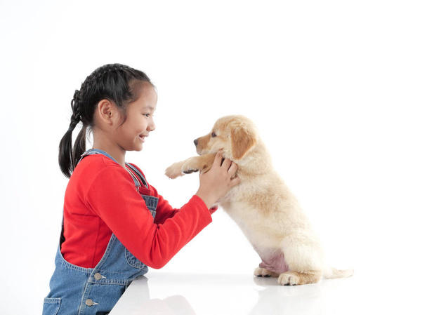 Asiática chica jugando con su cachorro dorado retivever sobre blanco fondo
. - Foto, Imagen
