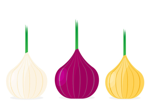 Onions flat icons  isolated on white background, vector, illustration - Vector, Imagen