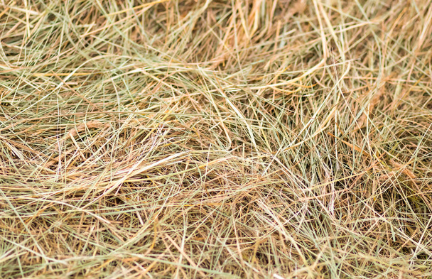 Suchá tráva žluté pozadí rustikální základní seno krmivo pro hospodářská zvířata přírodní vzor - Fotografie, Obrázek
