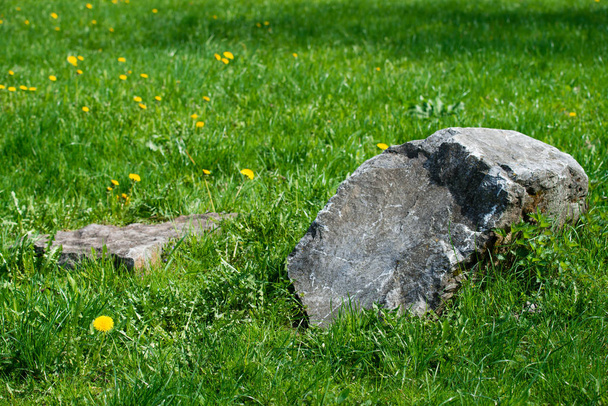 stone closeup on green grass - Fotoğraf, Görsel