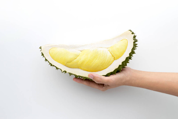 Hand holding fresh cut durian on a white background, king of fruit from Thailand - Foto, afbeelding