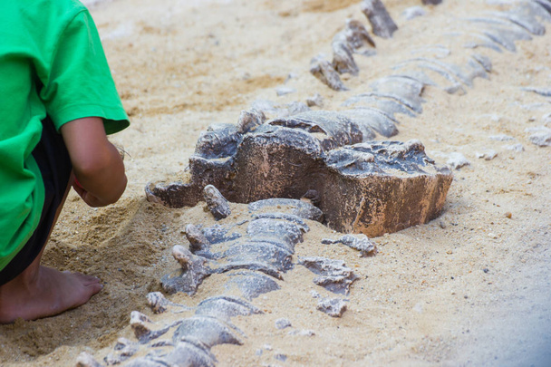 Los niños están aprendiendo historia de dinosaurios, excavando fósiles de dinosaurios simulación en el parque
. - Foto, imagen
